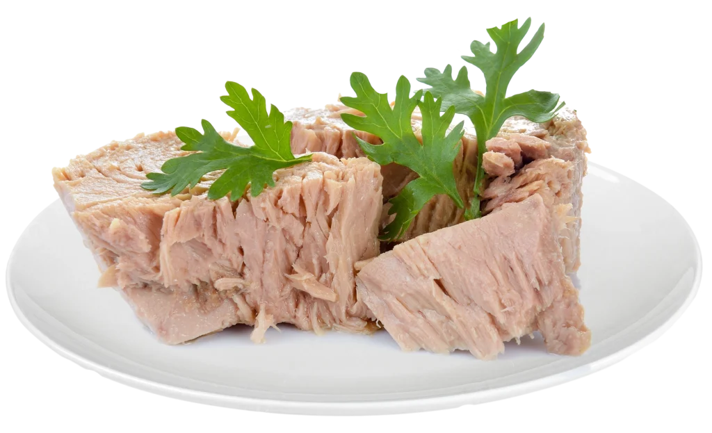 tuna on plate